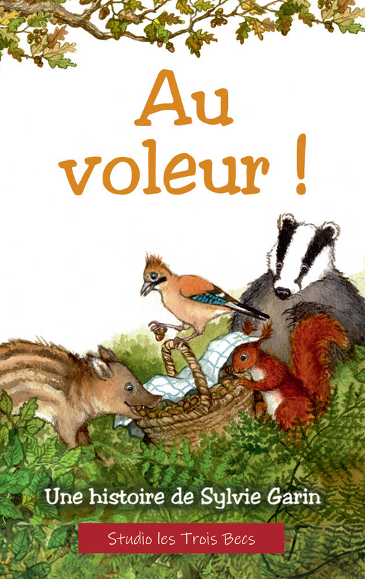 Au voleur !